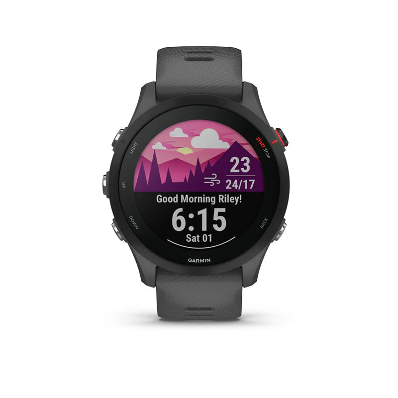 Garmin Forerunner 255 (Slate Grey)