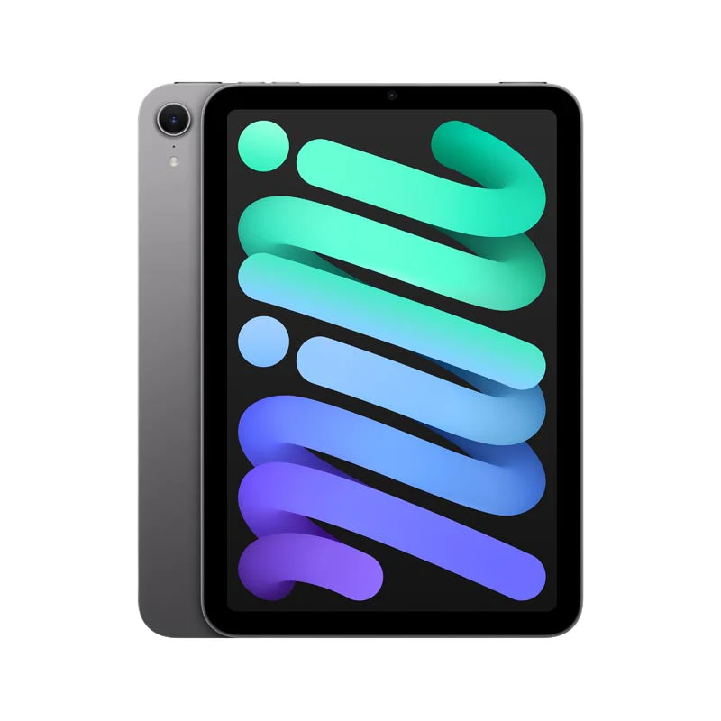 iPad mini Wi-Fi 256GB - Space Grey [MXNA3ZP/A]