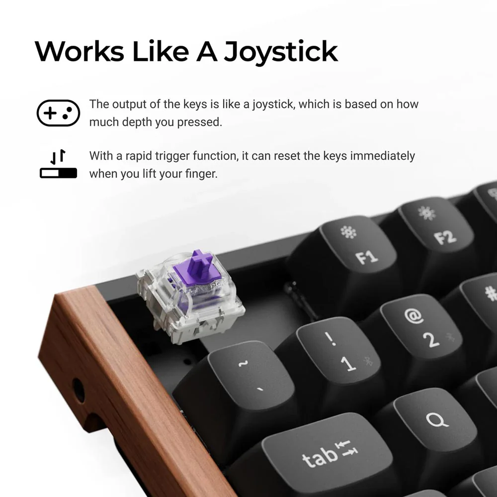 Keychron K8 HE Wireless Magnetic Switch Custom Keyboard (K8H-F1 Special Edition Black) - Image 5