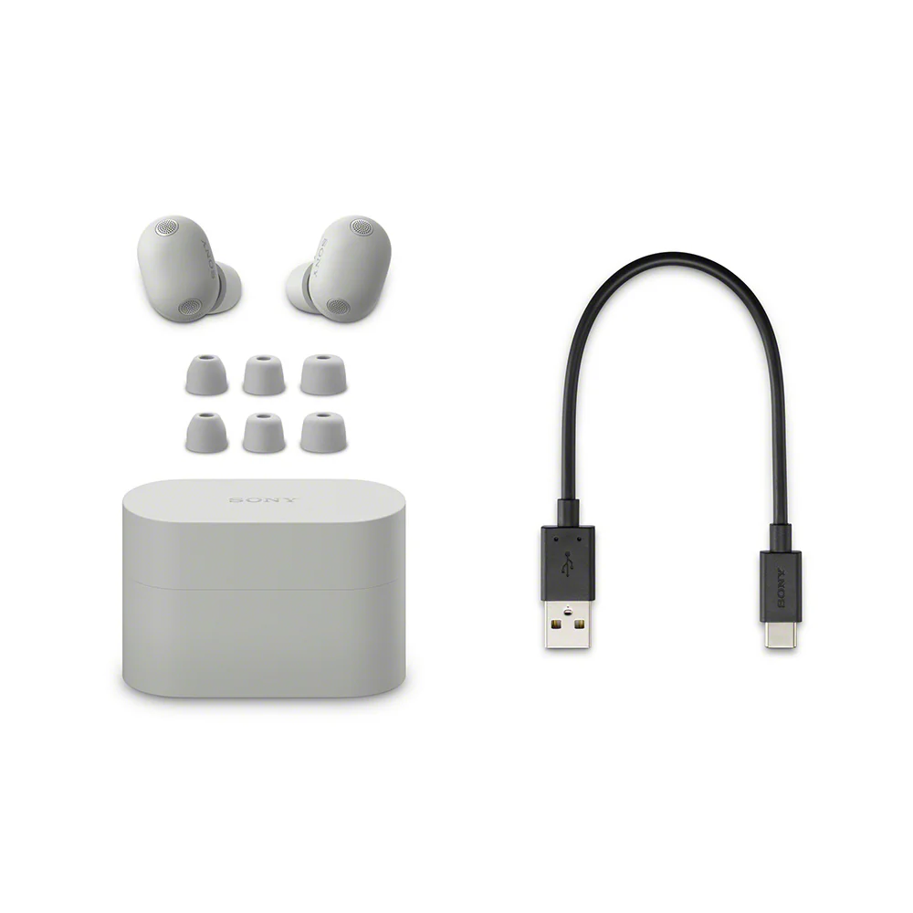 Sony WF-1000XM6/SCE TWS Earphones (Silver) - Image 5